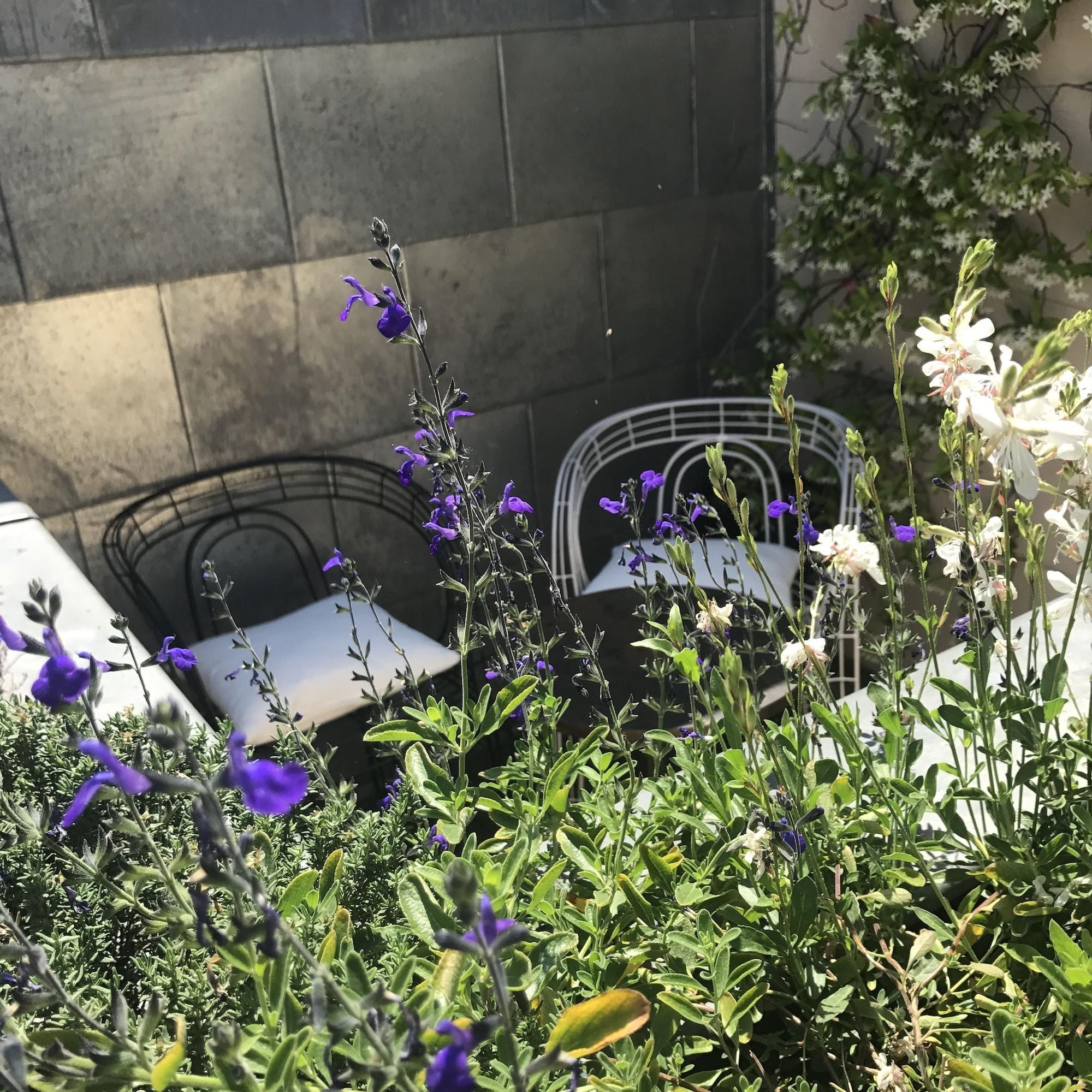 Hotel Recamier Paris Ngoại thất bức ảnh