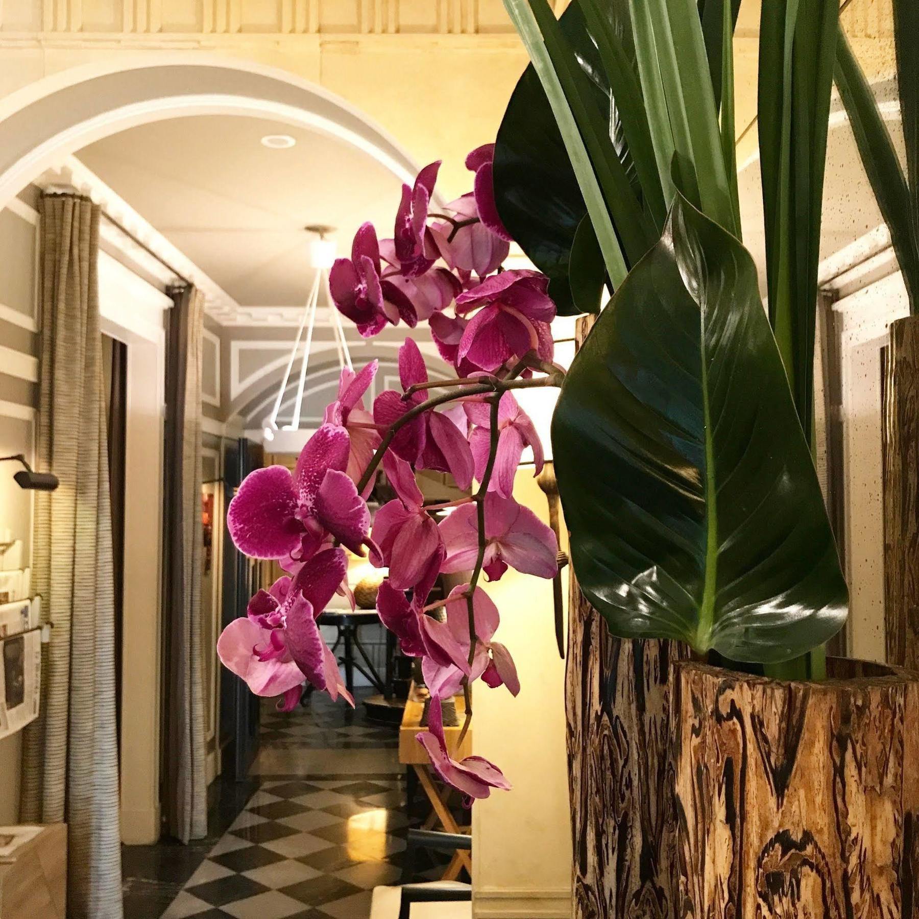 Hotel Recamier Paris Ngoại thất bức ảnh